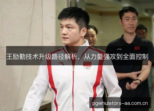 王励勤技术升级路径解析，从力量强攻到全面控制